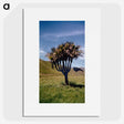 2-10_Leslie-Adkin_picture