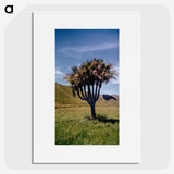 2-10_Leslie-Adkin_picture
