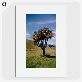 2-10_Leslie-Adkin_picture