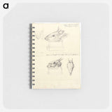 Testi di Madoqua (Antelope Head and Skulls)
 - ルイージ バルガーニ Memo.