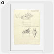 2-10_Luigi-Balugani_picture