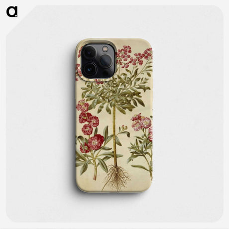 2-10_Maria-Sibylla-Merian_phone