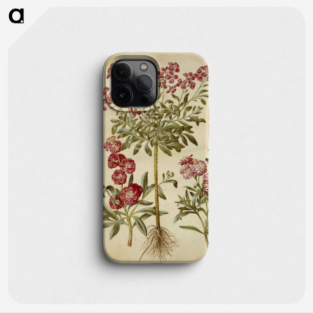 2-10_Maria-Sibylla-Merian_phone