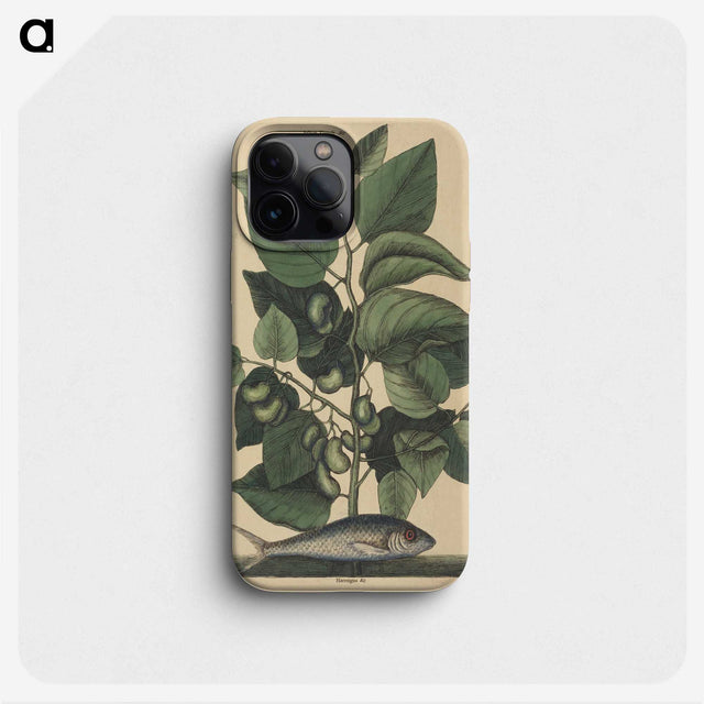 2-10_Mark-Catesby_phone