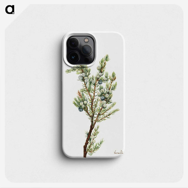 2-10_Mary-Vaux-Walcott_phone