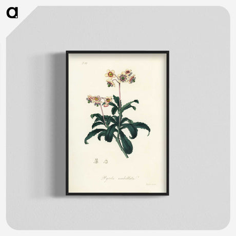 2-10_Medical-Botany_blk-crop