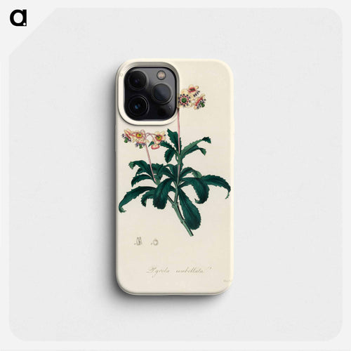 Lyrola umbellata
 - 薬用植物学 Phone Case.