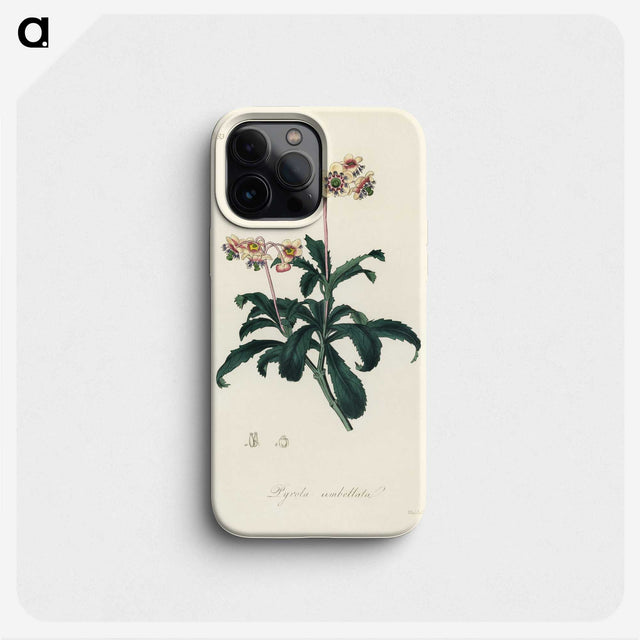 2-10_Medical-Botany_phone