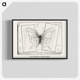 2-10_Moths-and-Butterflies-of-the-United-States_blk-crop