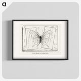 2-10_Moths-and-Butterflies-of-the-United-States_blk