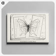 2-10_Moths-and-Butterflies-of-the-United-States_canvas