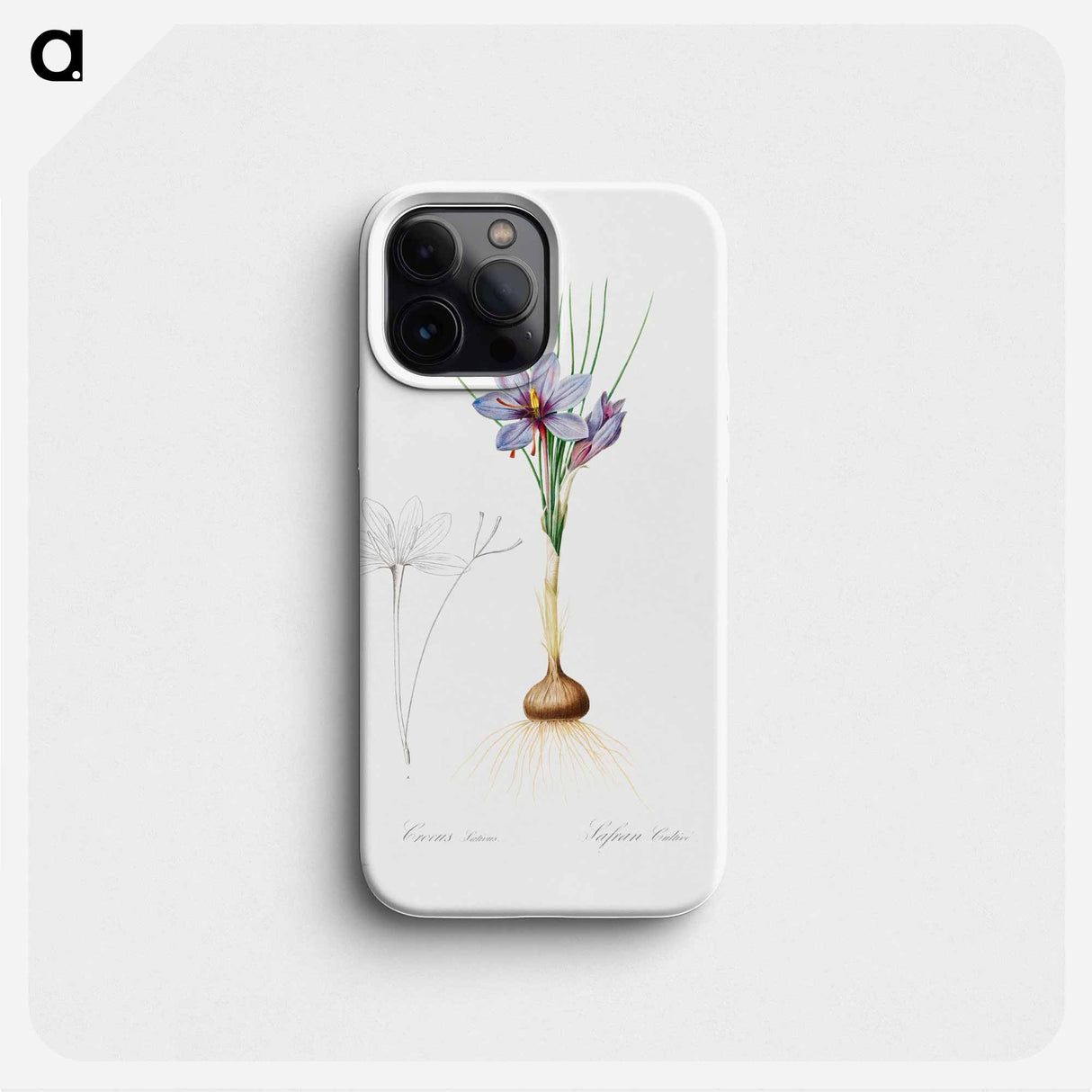 Crocus Sativus - ピエール ジョゼフ ルドゥーテ Phone Case.