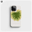 2-10_Plants-with-Colored-Foliage_phone