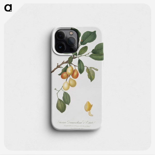 2-10_Pomona-Italiana_phone