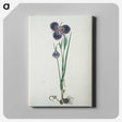 2-10_Robert-Jacob-Gordon_canvas
