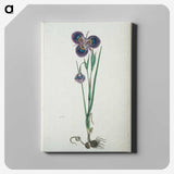 2-10_Robert-Jacob-Gordon_canvas
