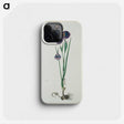 2-10_Robert-Jacob-Gordon_phone
