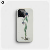2-10_Robert-Jacob-Gordon_phone