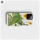2-10_Seiyo-Soka-Zufu_phone