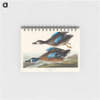 アートメモ帳-Blue-Winged Teal from Birds of America
 - アメリカの鳥たち Memo.