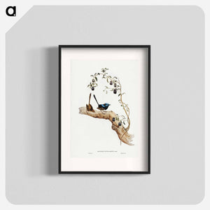 オーストラリア