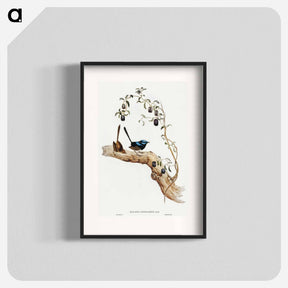 アートポスター-Long-tailed Wren
 - オーストラリアの鳥 Poster.