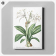 2-10_The-Lilies_canvas
