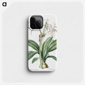 2-10_The-Lilies_phone