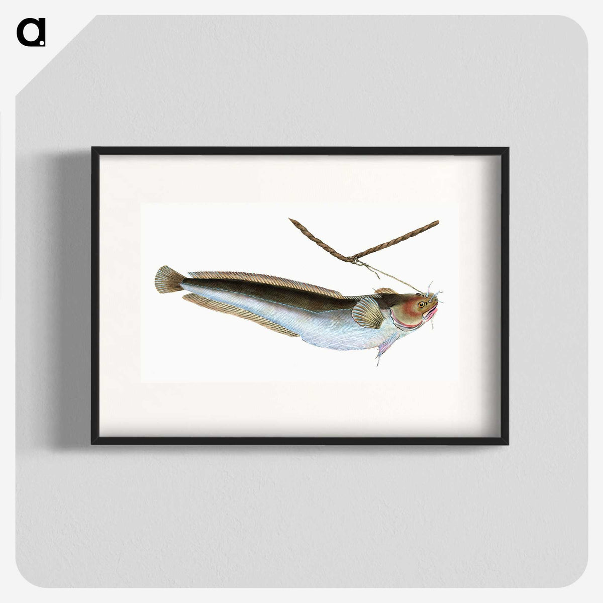 2-10_The-Natural-History-of-British-Fishes_blk