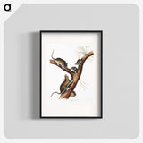 2-10_The-Viviparous-Quadrupeds_blk
