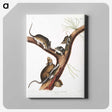 2-10_The-Viviparous-Quadrupeds_canvas