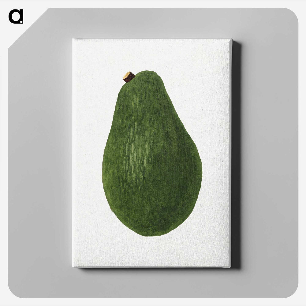 2-10_USDA-Watercolor-Fruit-Painting-Collection_canvas