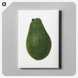 2-10_USDA-Watercolor-Fruit-Painting-Collection_canvas