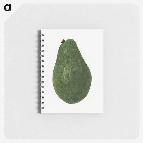2-10_USDA-Watercolor-Fruit-Painting-Collection_memo