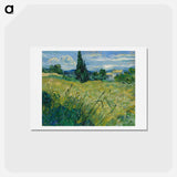 アートポストカード-Green Wheat Field with Cypress - フィンセント ファン ゴッホ Postcard.