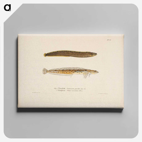 2-10_Wilhelm-von-Wright_canvas