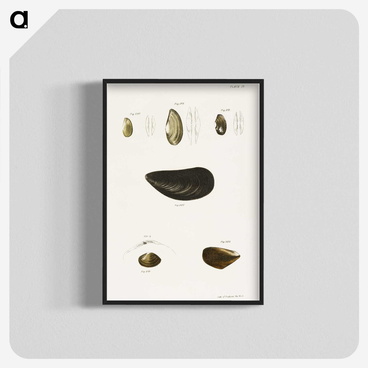 2-10_Zoology-of-New-York_blk-crop