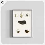 2-10_Zoology-of-New-York_blk-crop