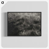 2-11_Alfred-Stieglitz_blk-crop