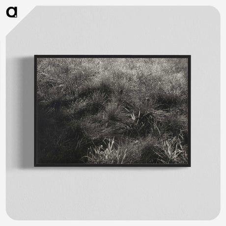 2-11_Alfred-Stieglitz_blk-crop