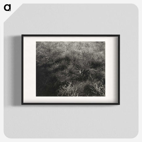 2-11_Alfred-Stieglitz_blk