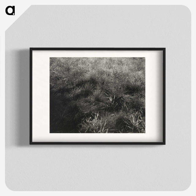 2-11_Alfred-Stieglitz_blk
