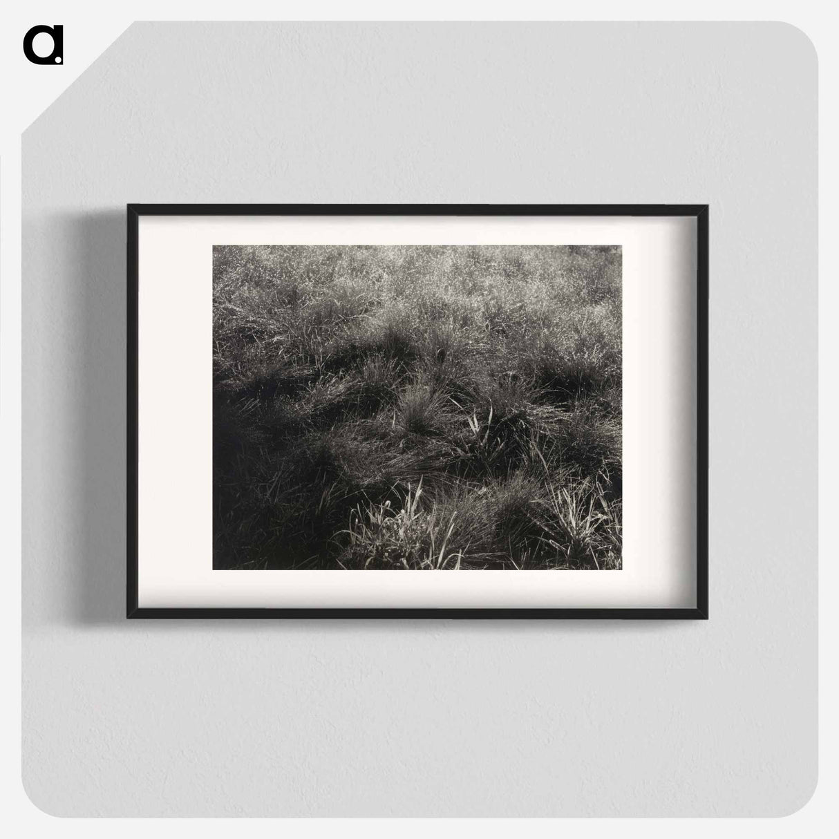 Grasses - アルフレッド スティーグリッツ Poster.