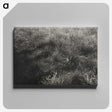 2-11_Alfred-Stieglitz_canvas