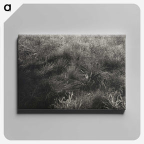 2-11_Alfred-Stieglitz_canvas