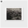 アートポストカード-Grasses - アルフレッド スティーグリッツ Postcard.