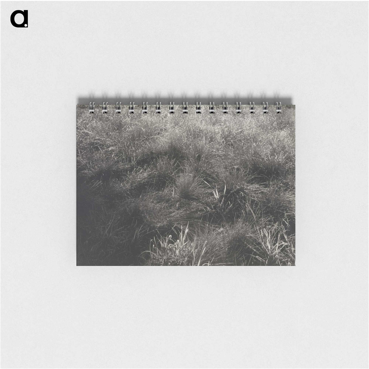 2-11_Alfred-Stieglitz_memo