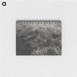 2-11_Alfred-Stieglitz_memo
