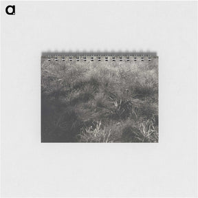 2-11_Alfred-Stieglitz_memo
