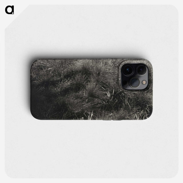2-11_Alfred-Stieglitz_phone